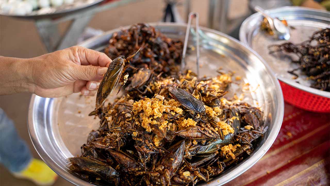 Family Street Foodies Tour by Tuk Tuk